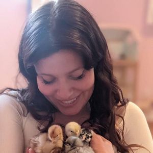 Meet your Posher, Day